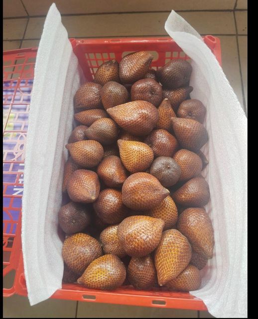 Snake fruit, Indonesia salak Texture Crisp Origin Indonesia Color Reddish-brown Place of Origin Indonesia Flavor Profile Sweet And Tangy - Image 1