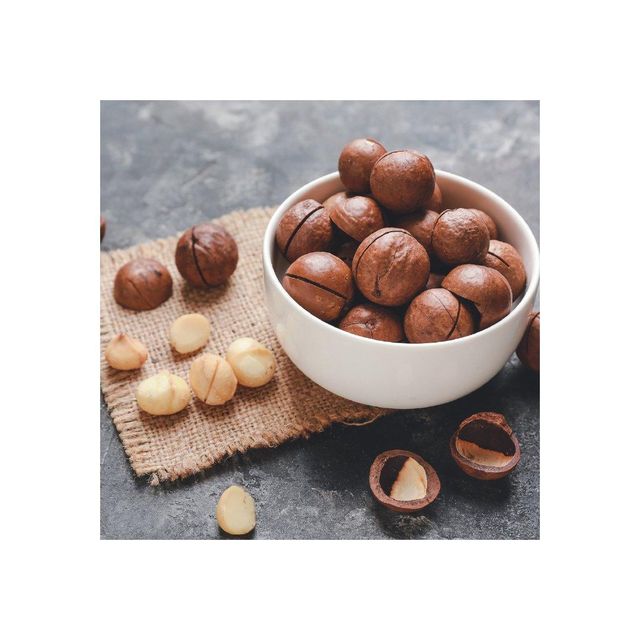 Premium Macadamia nuts bulk supply wholesale cheap price nutritious nuts - Image 1