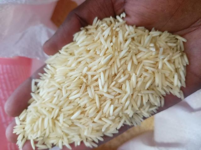 BASMATI RICE 1121 – product photo 3, product detail gallery