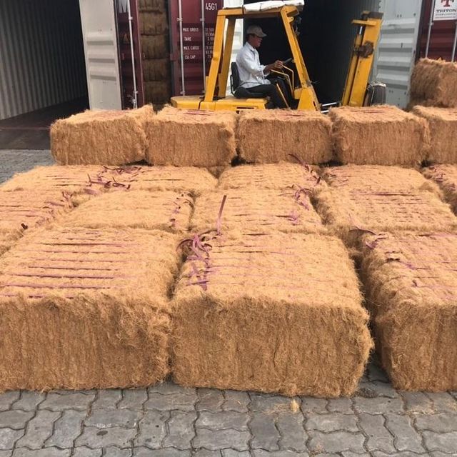 Coconut Coir Fiber Soil - Image 2