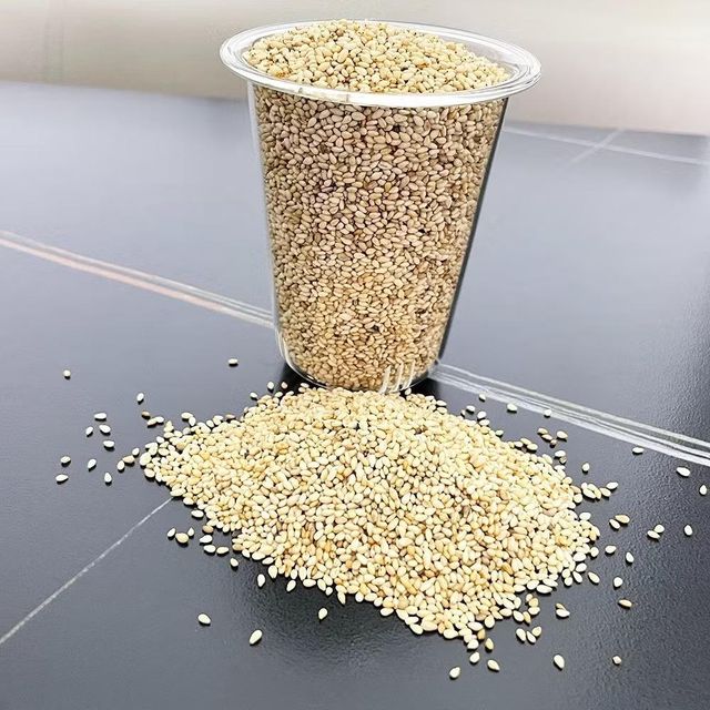 Selection Standard Selected Clean Hulled Sesame Seed Natural Processed Sortex Supply Sortex Toasted Toasted Farm Unhulled - Image 2