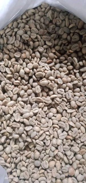 Arabica Coffee Beans – Premium Grade for sell at affordable rates – product photo 5, product detail gallery