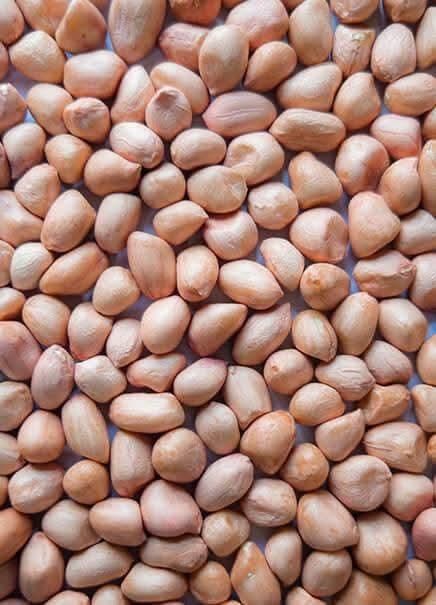 Origin China Leading Exporter of Dried Raw Peanuts Kernel Bulk Dried Groundnuts for Sale - Image 4