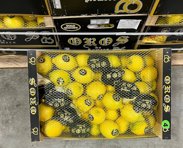 RELIABLE SUPPLY FRESH CITRUS LEMONS VIBRANT YELLOW COLOR 80mm,15KG CARTONS EXPORT GRADE - Image 4