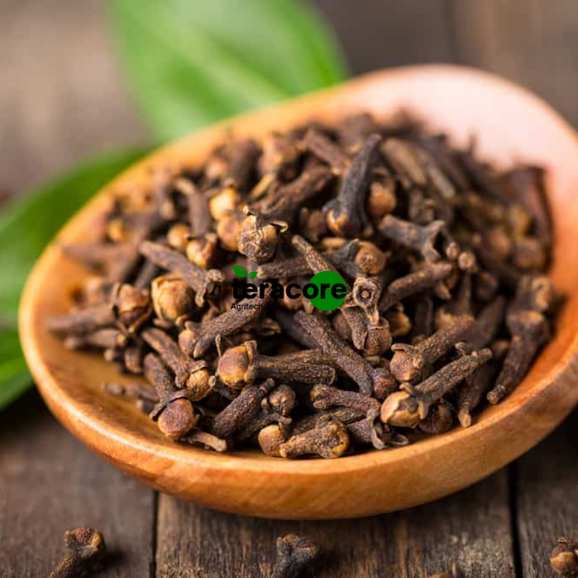 Clove Whole Premium Cloves Spice Original From Indonesia - Image 2