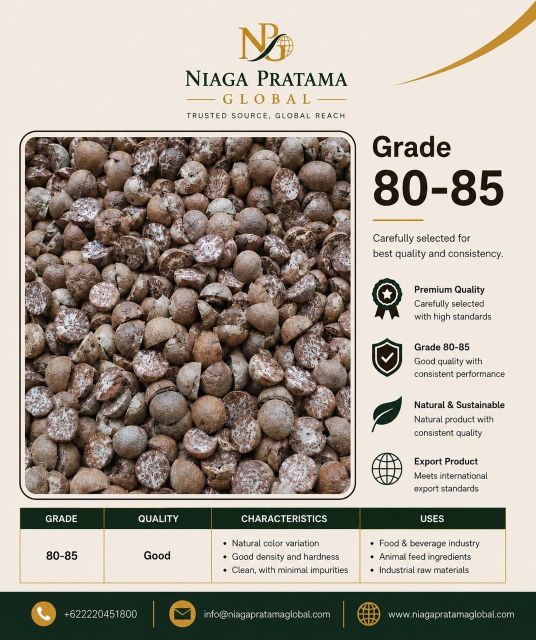 Dried Betel Nut (Areca Nut) Split / Whole Grade 80-85 Export Quality - Premium Indonesia - Image 3