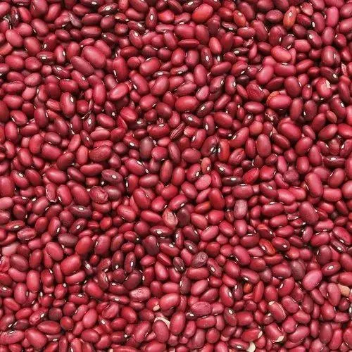 Wholesale Ethiopian High Quality Cream Beans Fresh Kidney Red and White Beans Common Cultivation Type - Image 1