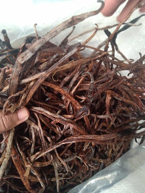 Premium Vanilla Cuts Madagascar Bourbon Loose Beans Industrial Extraction Extract Grade C - Image 3