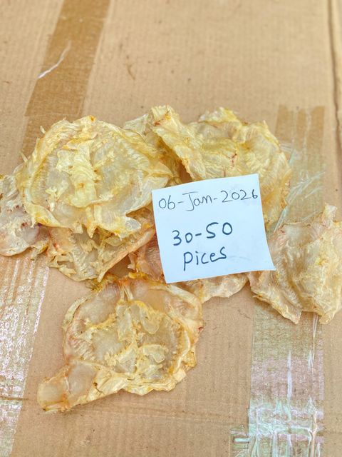 Cat Fish Maw ( Dry ) Style Open & Close Weight (kg) 20 kgs box Certification ISO 22000 Key Benefit Rich Collagen - Image 5