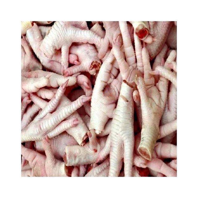 Premium chicken feet wholesale stock bulk purchase low price quick shipment - Image 2