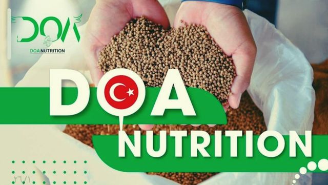 layer premix Grade 99 Packaging 25kg Shelf Life 2 years Place of Origin turkey Application Context Poultry Farming Brand Name https://doanutrition.com/ - Image 3