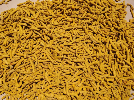Turmeric Finger - Salem & Nizambad (premium quality) – product photo 2, product detail gallery