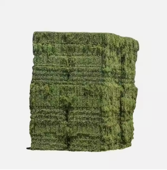 Alfafa Hay For Animal Feeding Grade Top Place of Origin USA Type Premium Grade - Image 1