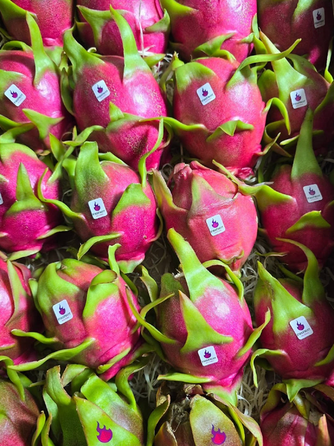 Premium Fresh Produce – Premium Dragon Fruit 9kg Export Box On Sale - Image 3