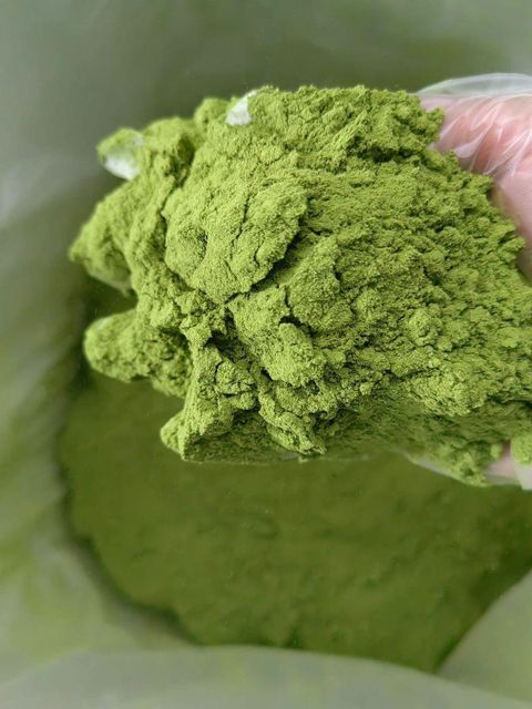 Moringa - Image 3