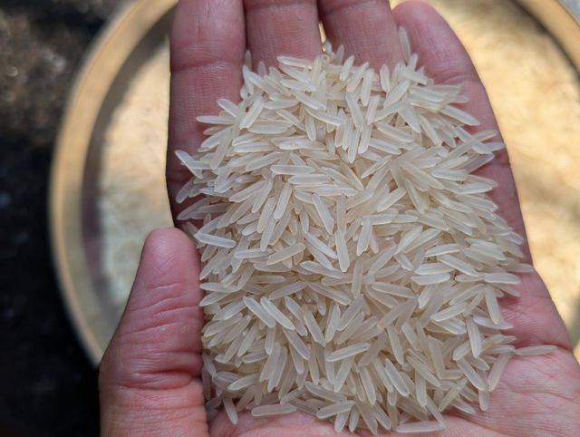 1509 White Sella Premium Basmati Rice - Image 3