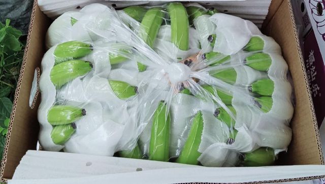 Cavendish Banana - Image 3