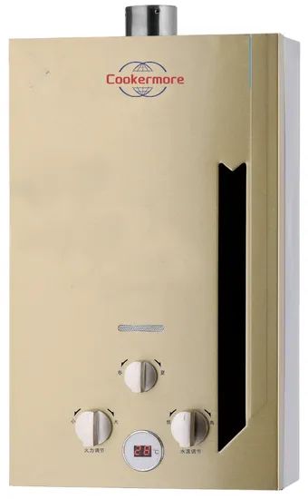 Reasonable Price Advanced Technology Forced Exhaust Gas Water Heater - Image 6