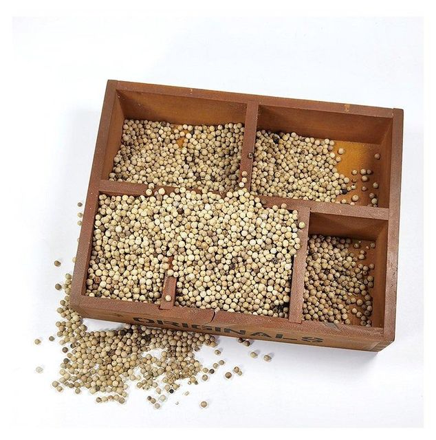 White Pepper 550gl / Organic Wholesale White Pepper / Supply Spices Seasoning Bulk Dried White Peppers - Image 3