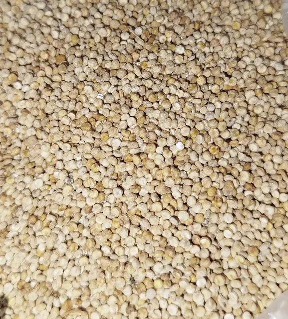 Raw Quinoa Quinoa Grains Quinoa seeds Unpeeled Quinoa Unwashed Quinoa - Image 1