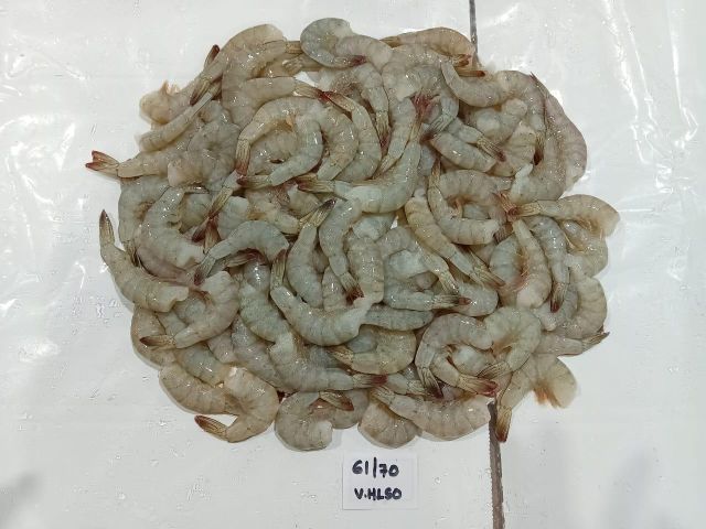 Vannamei HLSO Frozen Shrimps (61/70) Type HLSO Size 61/70 Texture Fresh Color Natural Form Block Frozen Place of Origin India - Image 2