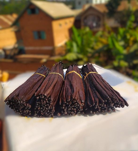 Vanilla - Grade A Planifolia Vanilla Gourmet Vanilla Beans - Vacuum Sealed Vanilla - Image 4