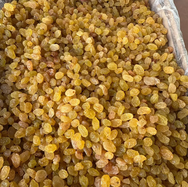 Premium Dried Fruits – Premium Quality Golden Raisins 10kg Bulk Packaging For Sale - Image 3