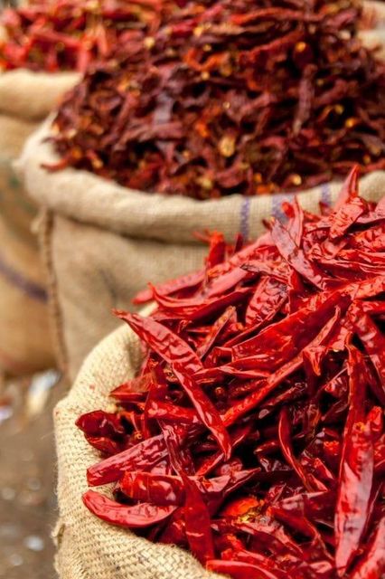 Dried Red Chilli - Image 3