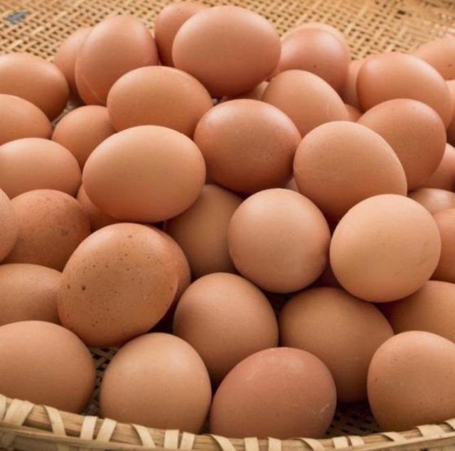 Fresh Table Eggs, Parrot Eggs, Fresh Farm Eggs - Image 1