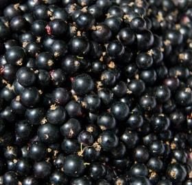 Frozen Black currant - Image 1