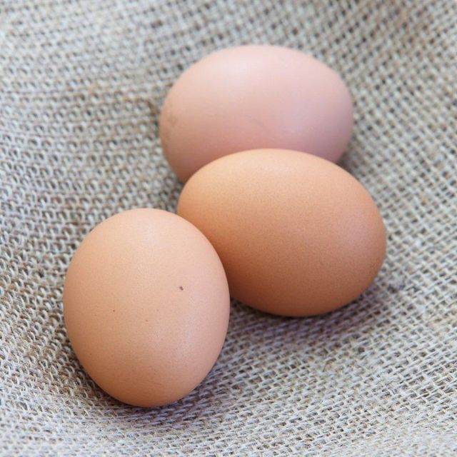 Carefully Sorted Fresh Table Eggs For International Wholesale Buyers With Secure Cartons And Reliable Farm Origin - Image 3