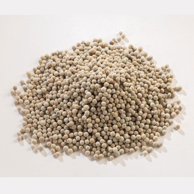 Premium 98% Clean White Pepper Whole Spice For Global Food Industry Supply And Ingredient Buyers White Pepper Bold Aroma - Image 4