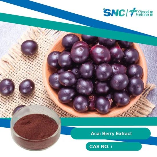 Organic Acai Juice Powder - Pure Concentrate for Health Benefits - Image 1