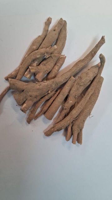 Dried Ashwagandha Root TBC Grade FOOD Color OFF WHITE Packaging HDPE BAGS Shelf Life 24 MOTNHS Max. Moisture (%) 8% Place of Origin INDIA - Image 3