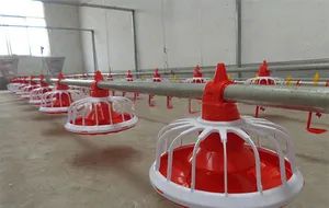 High-Quality Chain Pan Feeders for Poultry Farming Needs Cells 14/16 Origin China Condition New Warranty 1 Year HS Code - Image 4