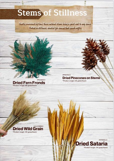 Dried Flowers For Home Decoration /Call for price info@rayyanagri.com - Image 3