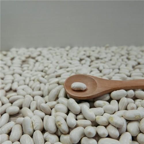 Pure White Kidney Beans High Protein Whole Beans High Quality Cheap Bulk Wholesale Supply - Image 4