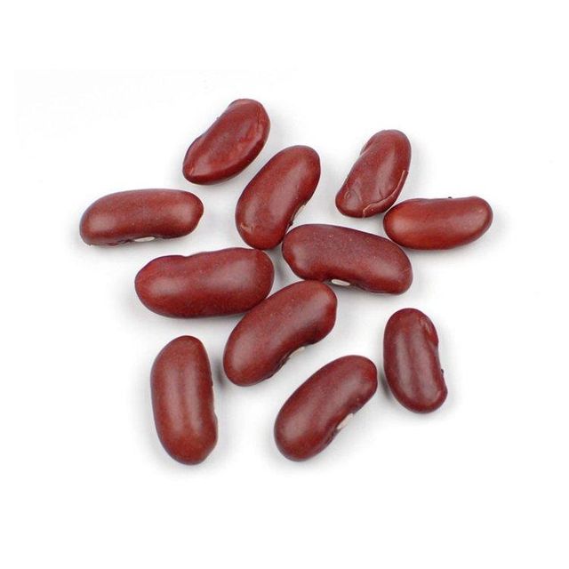 Low price Red Kidney Bean bulk supply wholesale fresh harvest - Image 2