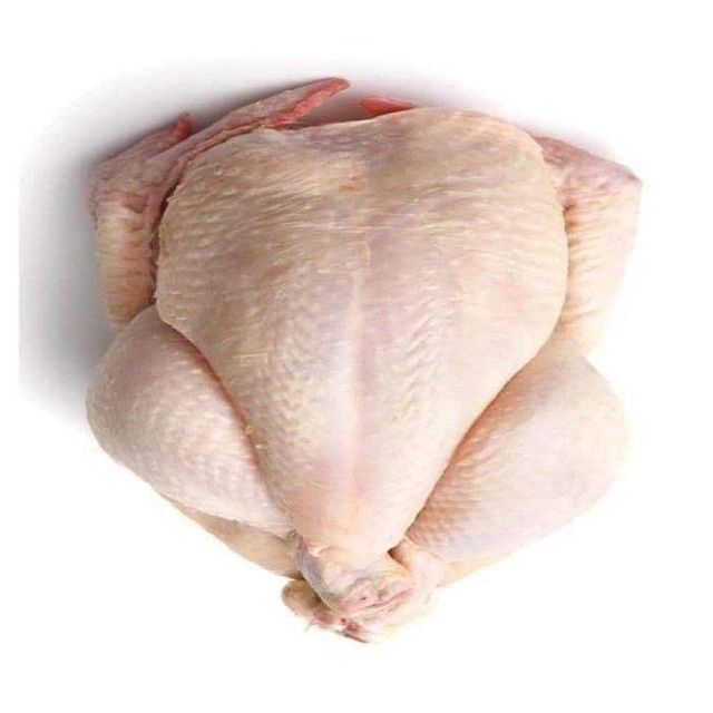 High Quality Halal Frozen Whole Chicken and Parts Bulk Wholesale Cheap Price Premium Quality Vitamins International Standards - Image 5