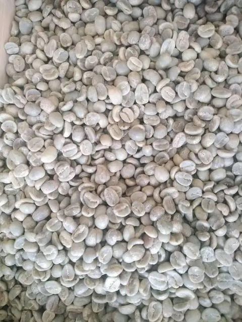 BEST QUALITY COFFEE BEANS NEW CROP HOT SELLING REASONABLE GREEN SEEDS READY WHATSAP +255787979235 – product photo 3, product detail gallery