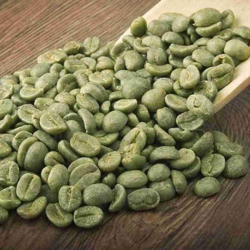 Green Coffee Beans Arabica and Robusta Coffee Beans - Image 2