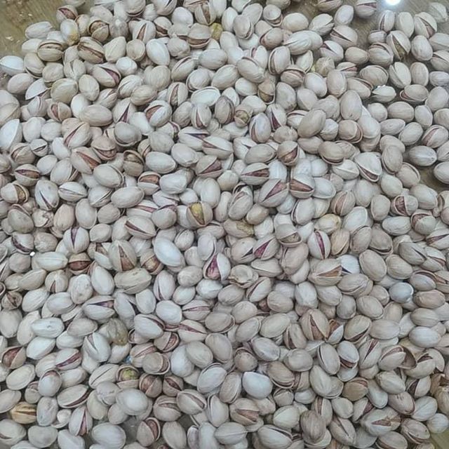 Pistachio in Shell and Kernel Product Type Nuts Flavor Mildly Sweet Processing Type Raw, Roasted, Kernel , In Shell Type Fandoghi, Kale Guchi, Badami, Akbari, Ahmed Aghaee - Image 4
