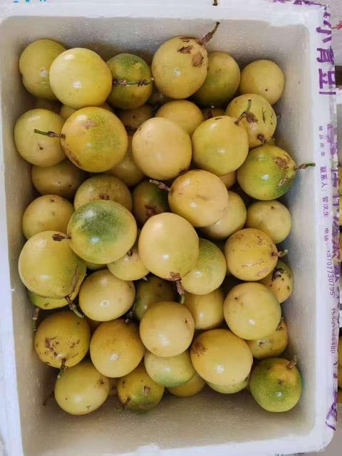 passion fruit - Image 1