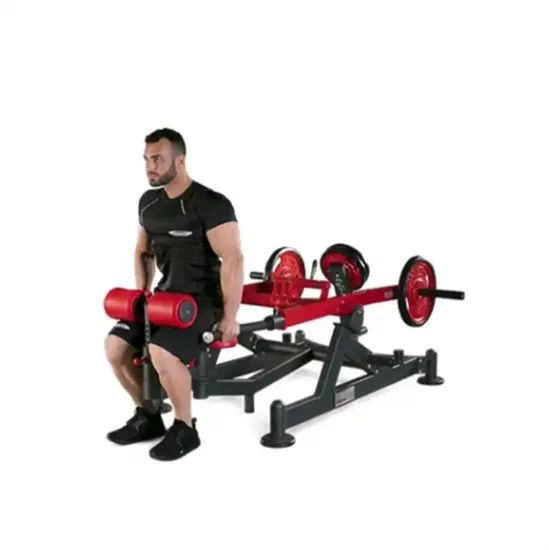 Gym Dual Function Fitness Equipment Plate Load Strength Exercise Machine Horizontal Bench Dips Press - Image 4
