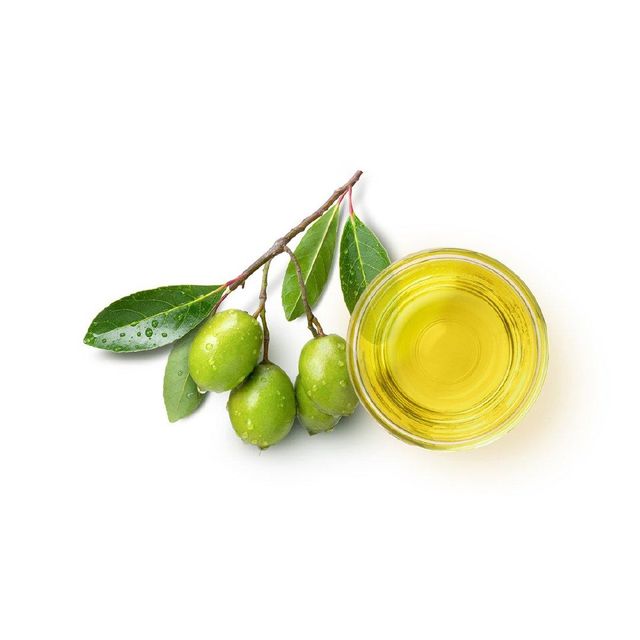 Wholesale Olive Oil Premium Grade Fast Shipping Bulk Orders Available - Image 4