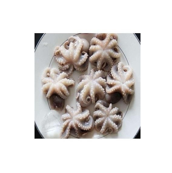 Manufacturers delicious snack baby octopus frozen seasoned octopus - Image 1