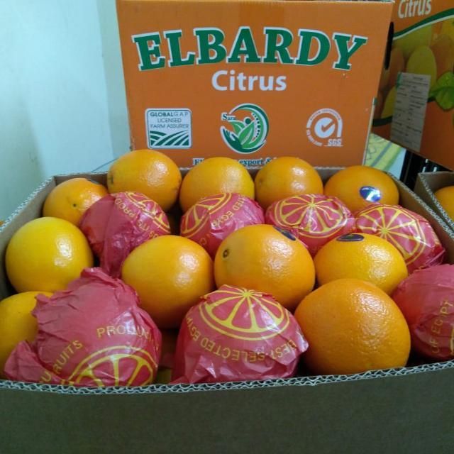Navel Orange - Image 4