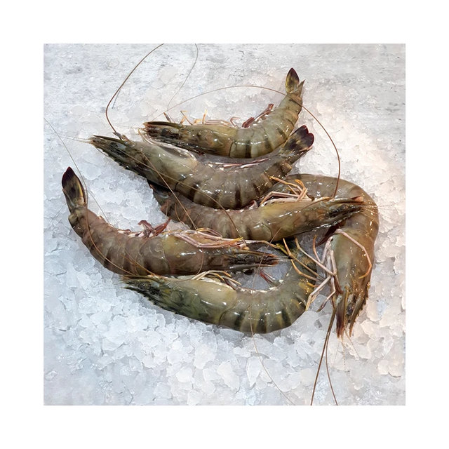 Premium Frozen Tiger Prawns – Multi-Size Box Packaging for Wholesale Supply - Image 3