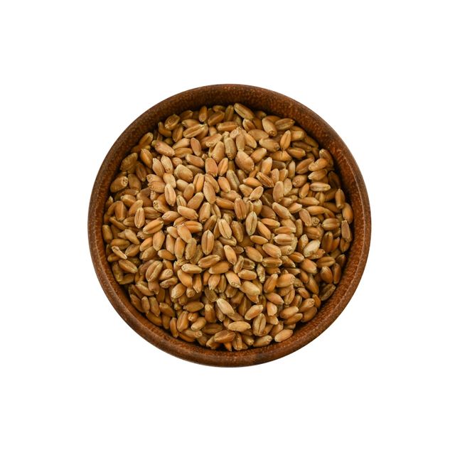 Premium Quality Durum Wheat Rich In Protein And Fiber Fresh And Natural Wheat Perfect For Wholesale Buyers Worldwide - Image 1