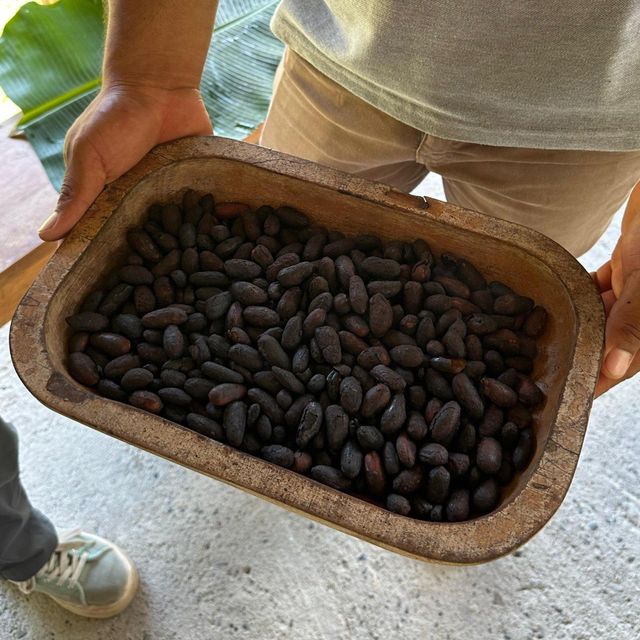 Top grade Cocoa bean ready for shipment Cocoa bean from reliable sources with excellent flavor and aroma - Image 3